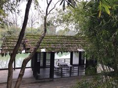 -西溪国家湿地公园