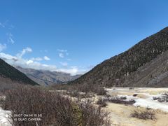 -黄龙山原始森林景区