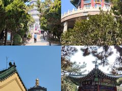 -湛山寺