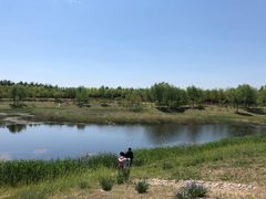 -东郊湿地公园