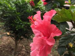 -广州市紫泥堂文化创意园景区