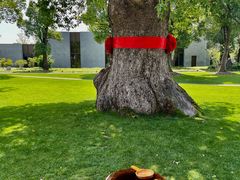 -养云安缦吧THE BAR