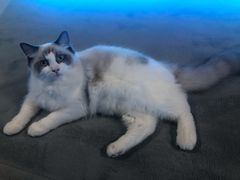 -零纪元VR体验馆·桌游(黄浦店)