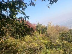 -香山公园-东宫门售票处