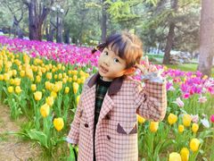 -北京丽晶酒店