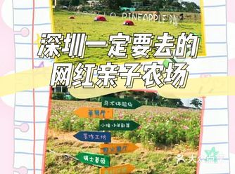 夏日大作战！快去这家天然乐园‖优惠放送