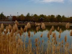 -永定河休闲森林公园