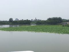 -大兴滨河森林公园