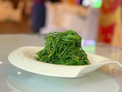 -蒙古大营·蒙古演绎餐厅(赛马场店)