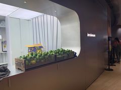 -introlemons(北京西单更新场店)