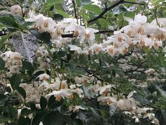 -崂山巨峰游览区