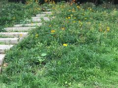 -南宁良凤江国家森林公园