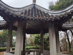 -伯先公园