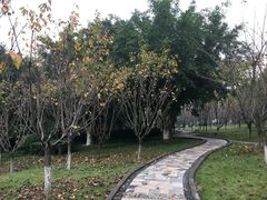 -西南政法大学(渝北校区)