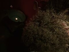 -花马天堂云南餐厅 Lost Heaven(高邮路店)