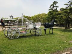 -松声马术俱乐部