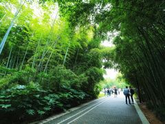 -苏州河梦清园环保主题公园