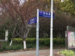 -高东镇樱花园