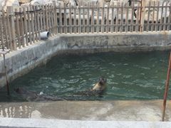-蓬莱阁景区