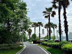 -金沙湖公园