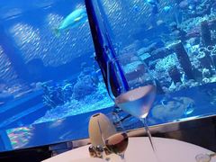 -迪拜帆船酒店海底餐厅