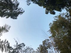 -江南天池高山汤泉城