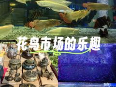 -中环花鸟鱼虫市场