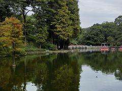 -广州市白云山风景名胜区