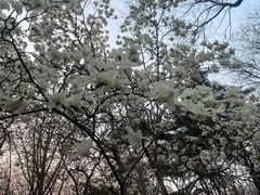 -皇城根遗址公园-东安门遗址