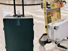 -杭州萧山国际机场
