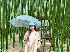 -竹泉村旅游度假区