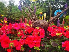 -上海共青森林公园