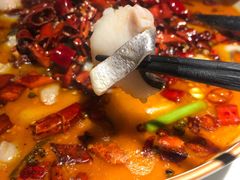 水煮湄公鱼-蕉棠·鸽子餐厅(柳州万象城店)