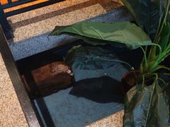 -河坝烧烤串城(金达莱店)