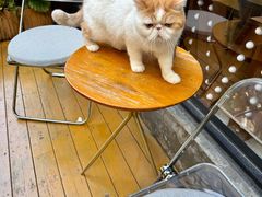 -ZM COFFEE(西安路店)