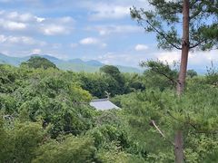 -天龙寺