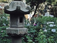 -龙华寺