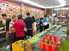 -鸿达渔港