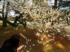 -京都御所