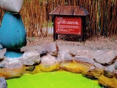 -森波拉火山温泉