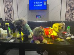 -皇马纯KTV(景田店)