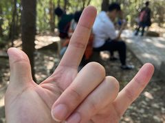 -紫金山山顶公园