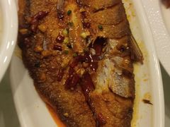 -鑫皇朝酒店(建设一路店)