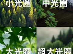 -CGWANG王氏教育(上海校区)