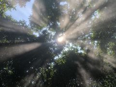 -韶山毛泽东同志故居