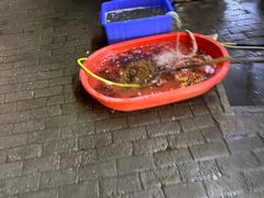 -沪上名羊天下碳烤羊腿•东北烧烤•小龙虾(浦东直营总店)