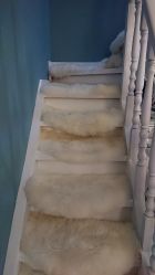 -YOUNGSKIN氧研皮肤管理中心