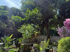 -谷咖啡·鲜花绿植花园餐厅