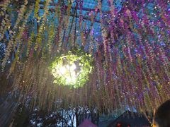 -一只烧鸡公(游仙店)