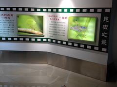 -上海昆虫博物馆